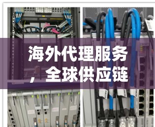 海外代理服务,全球供应链的重要支柱 海外代理服务,全球供应链的重要支柱