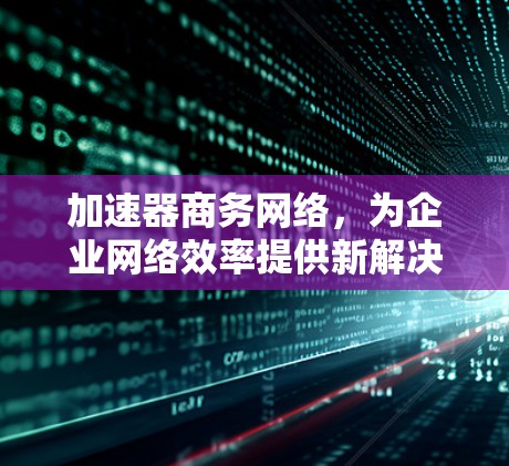 加速器商务网络,为企业网络效率提供新解决方案
