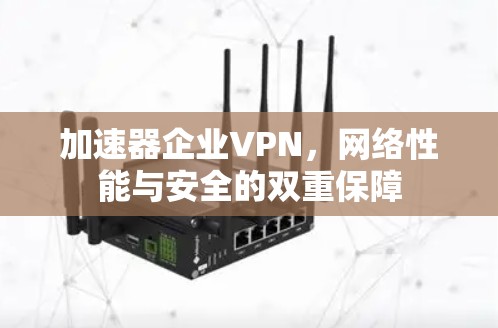 加速器企业VPN,网络性能与安全的双重保障