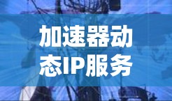 加速器动态IP服务是一种结合网络加速和智能IP地址管理的技术,旨在提升网络性能和资源利用率。以下是对该技术的详细分析 加速器动态IP服务是一种结合网络加速和智能IP地址管理的技术,旨在提升网络性能和资源利用率。以下是对该技术的详细分析