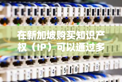 在新加坡购买知识产权(IP)可以通过多种方式进行,以下是一些常见的途径和相关信息 在新加坡购买知识产权(IP)可以通过多种方式进行,以下是一些常见的途径和相关信息