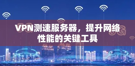 VPN测速服务器,提升网络性能的关键工具 VPN测速服务器,提升网络性能的关键工具