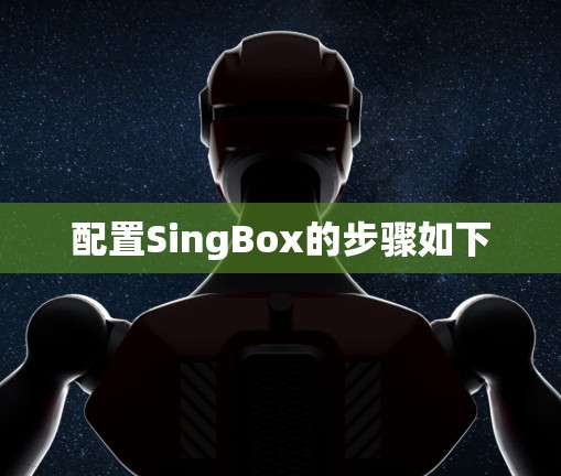 配置SingBox的步骤如下 配置SingBox的步骤如下
