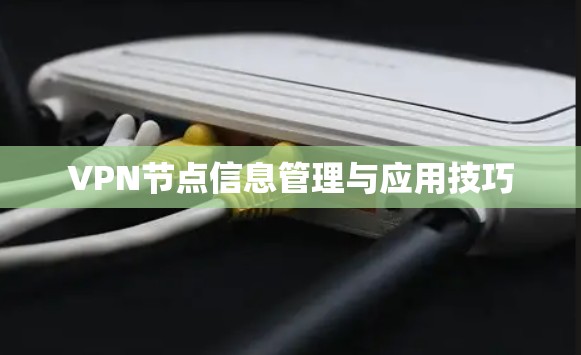 VPN节点信息管理与应用技巧 VPN节点信息管理与应用技巧