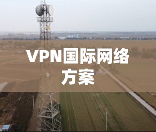 VPN国际网络方案
