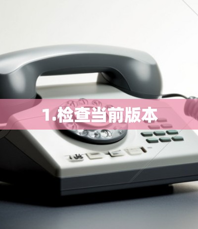 1.检查当前版本 1.检查当前版本
